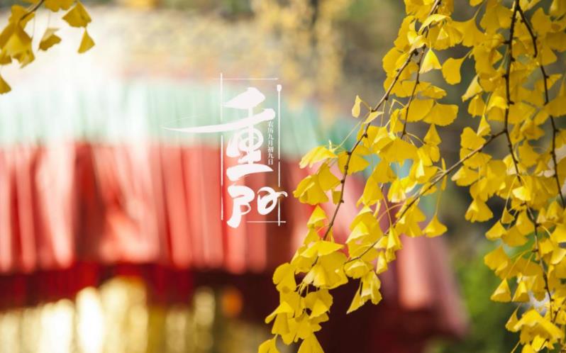 金秋送爽，心暖重陽。祝您重陽愉快，闔家歡樂，福壽安康！